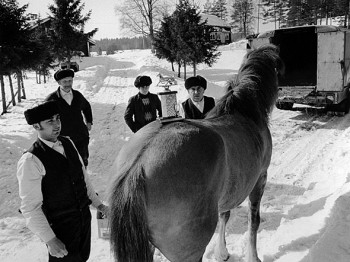 A winner: Romani men with a Finnish horse in Kauhajoki. Photo: Mikko  Savolainen, 1971
